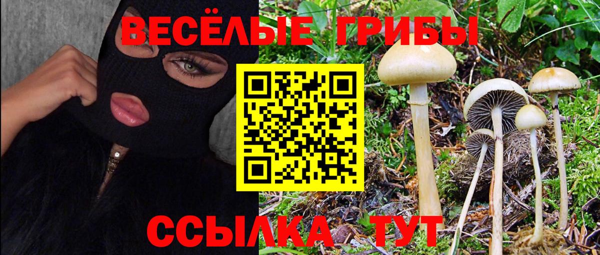 Псилоцибиновые грибы Magic Shrooms Кольчугино