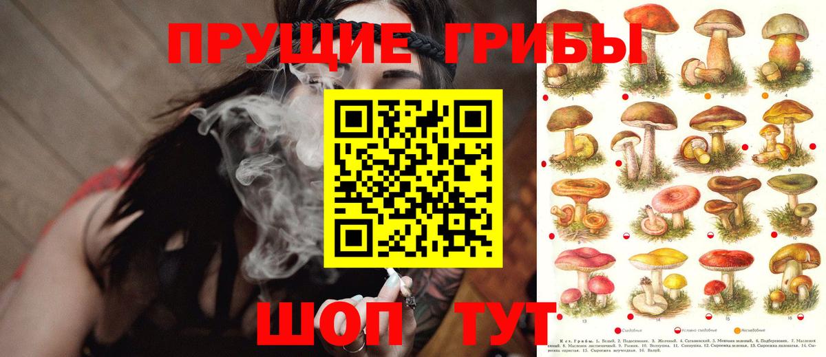 Галлюциногенные грибы MAGIC MUSHROOMS  Вход с VPN  Кольчугино  Галлюциногенные грибы Psilocybine cubensis 